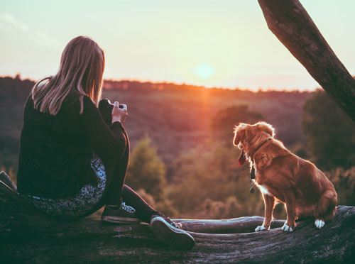 Luxury dog friendly holiday cottages in Eskdale, the Lake District