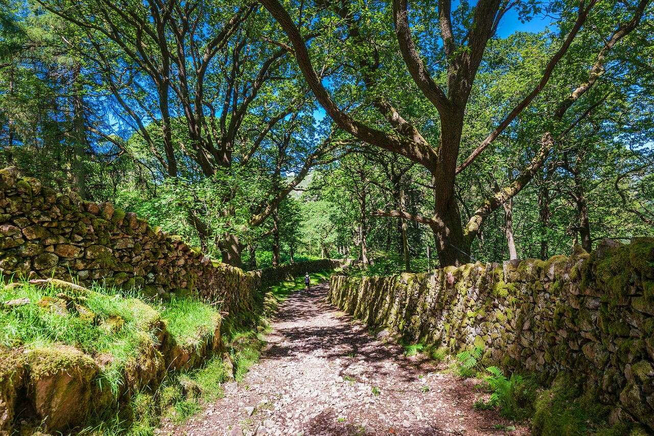 Enjoy many a fabulous walk on our doorstep