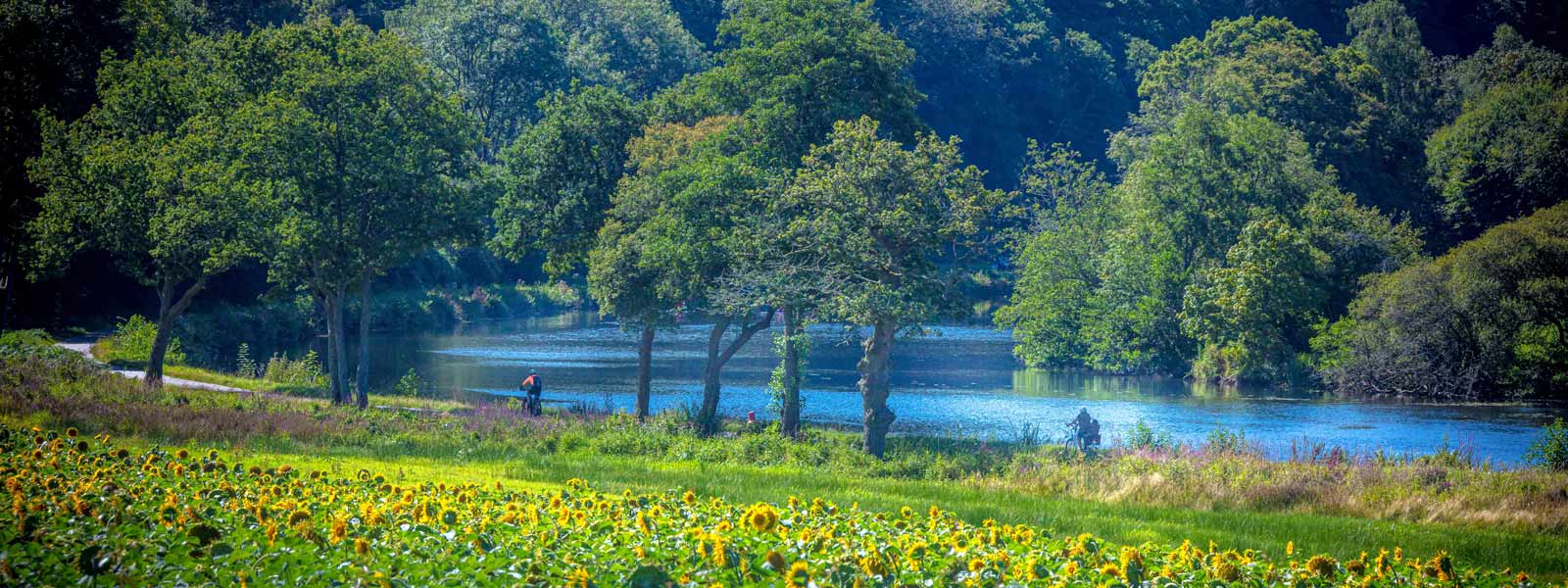 https://www.selectcottages.com/sites/default/files/revslider/image/riding-towpath-riverblavet.jpg