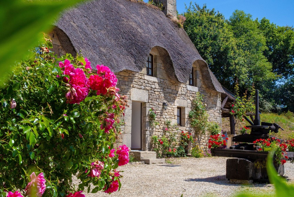 Pretty La Grange Cottage and Summer flowers