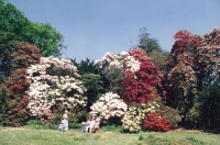 Muncaster Castle Gardens